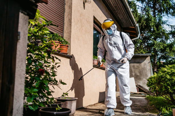 Best Mosquito Control Services  in Lake Catherine, IL