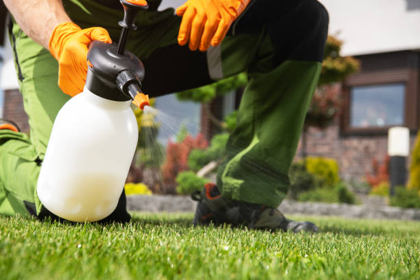 Best Pest Control Near Me  in Lake Catherine, IL