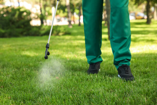 Best Affordable Pest Control Services  in Lake Catherine, IL