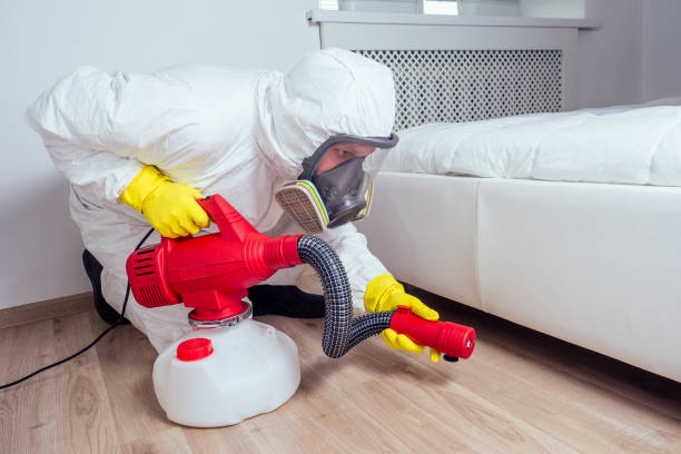 Best Affordable Pest Control Services  in Lake Catherine, IL