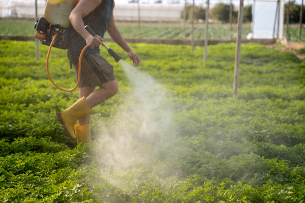 Best Residential Pest Control  in Lake Catherine, IL