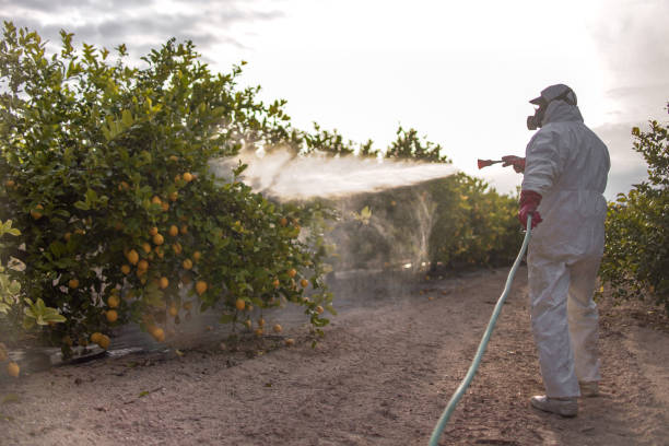 Trusted Lake Catherine, IL Pest Control Experts