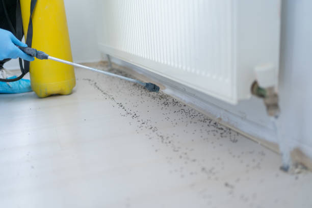 Best Wildlife Control Services  in Lake Catherine, IL