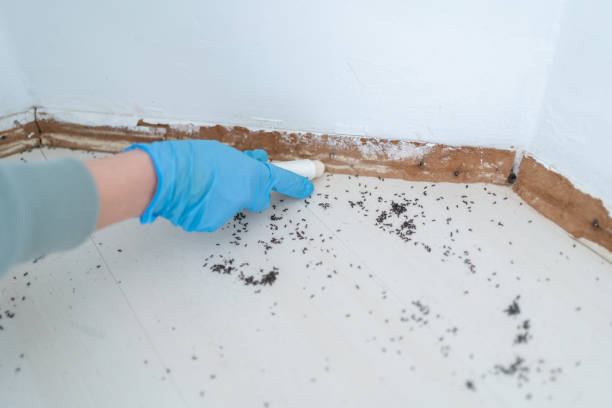 Best Affordable Pest Control Services  in Lake Catherine, IL